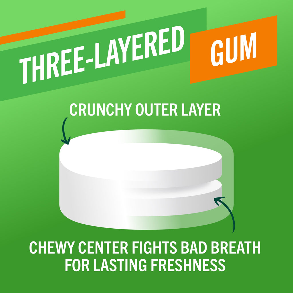 Fresh Breath Chewing Gum. Citrus Mint Flavor