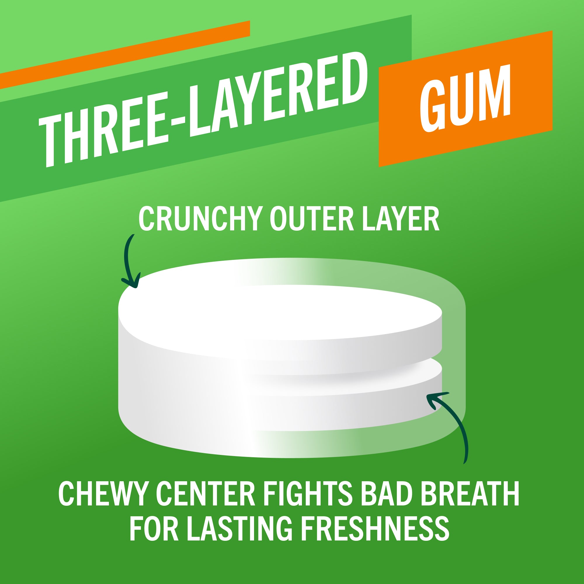 Fresh Breath Chewing Gum. Citrus Mint Flavor